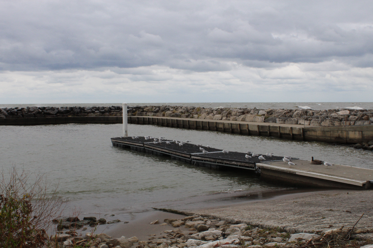 Lake Erie Shore