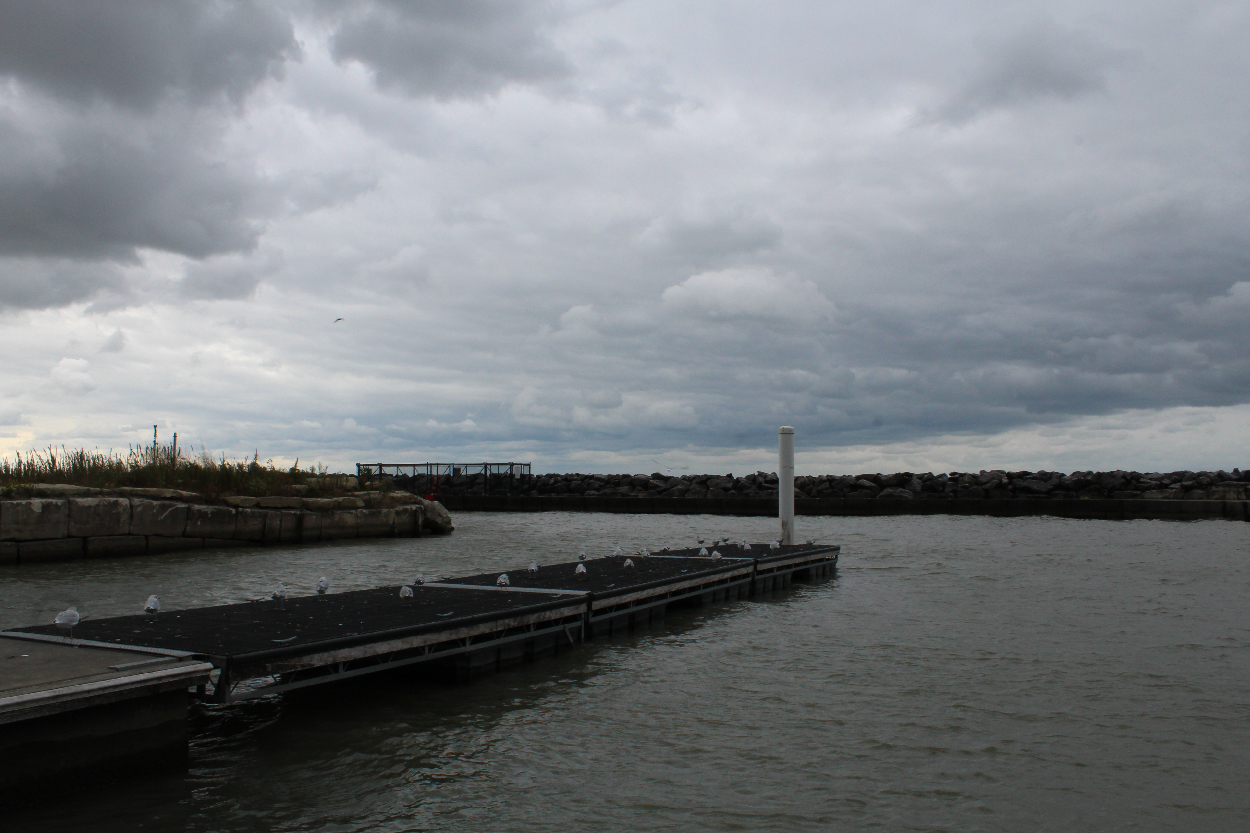 Lake Erie Shore