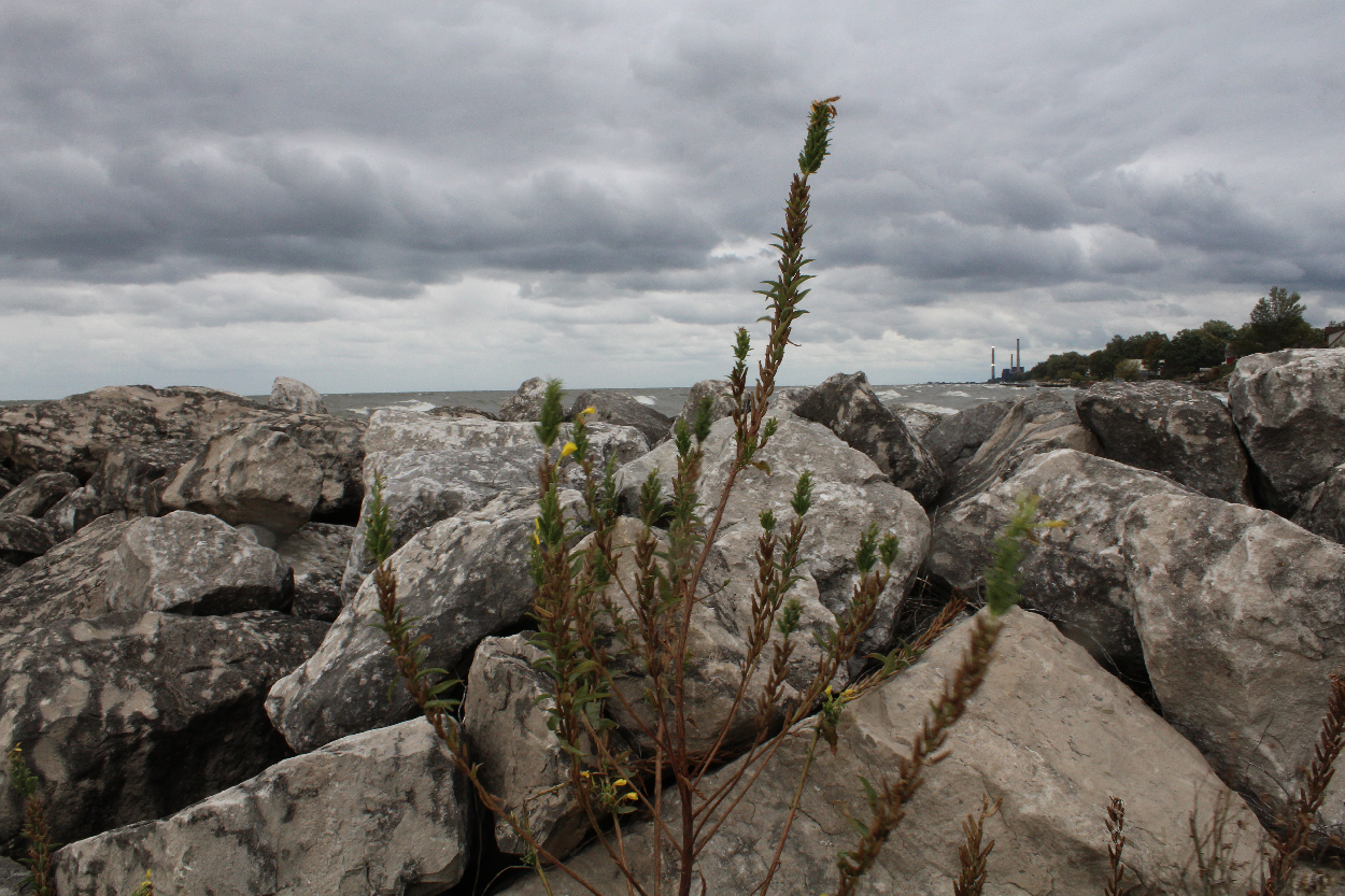 Lake Erie Shore