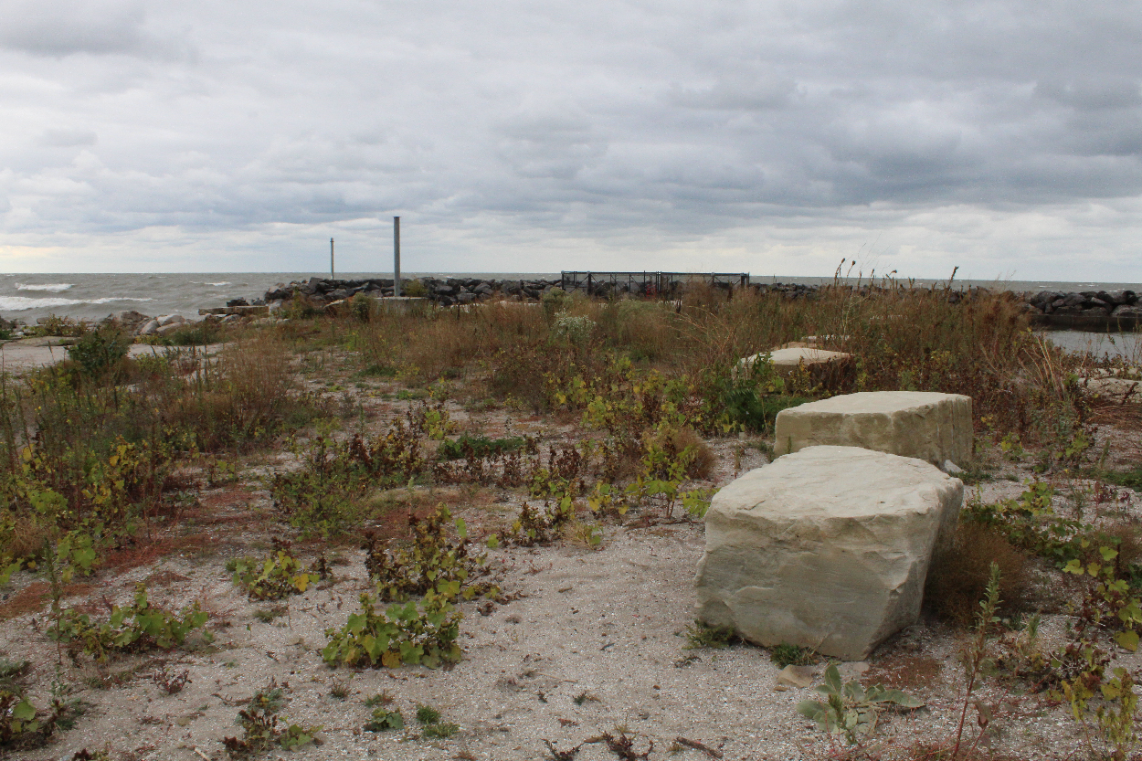 Lake Erie Shore