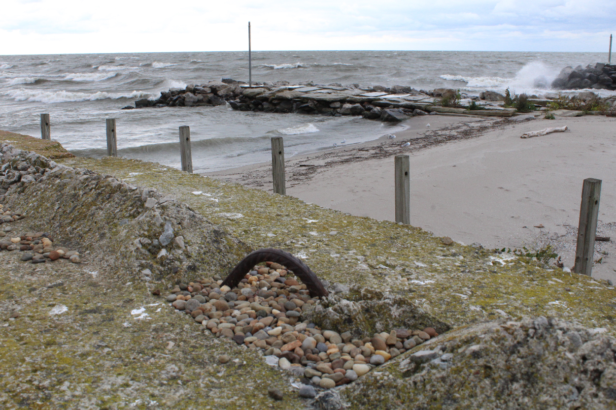 Lake Erie Shore